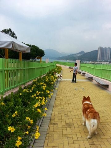 環保大道寵物公園