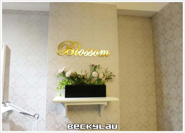 Shop Cover Images